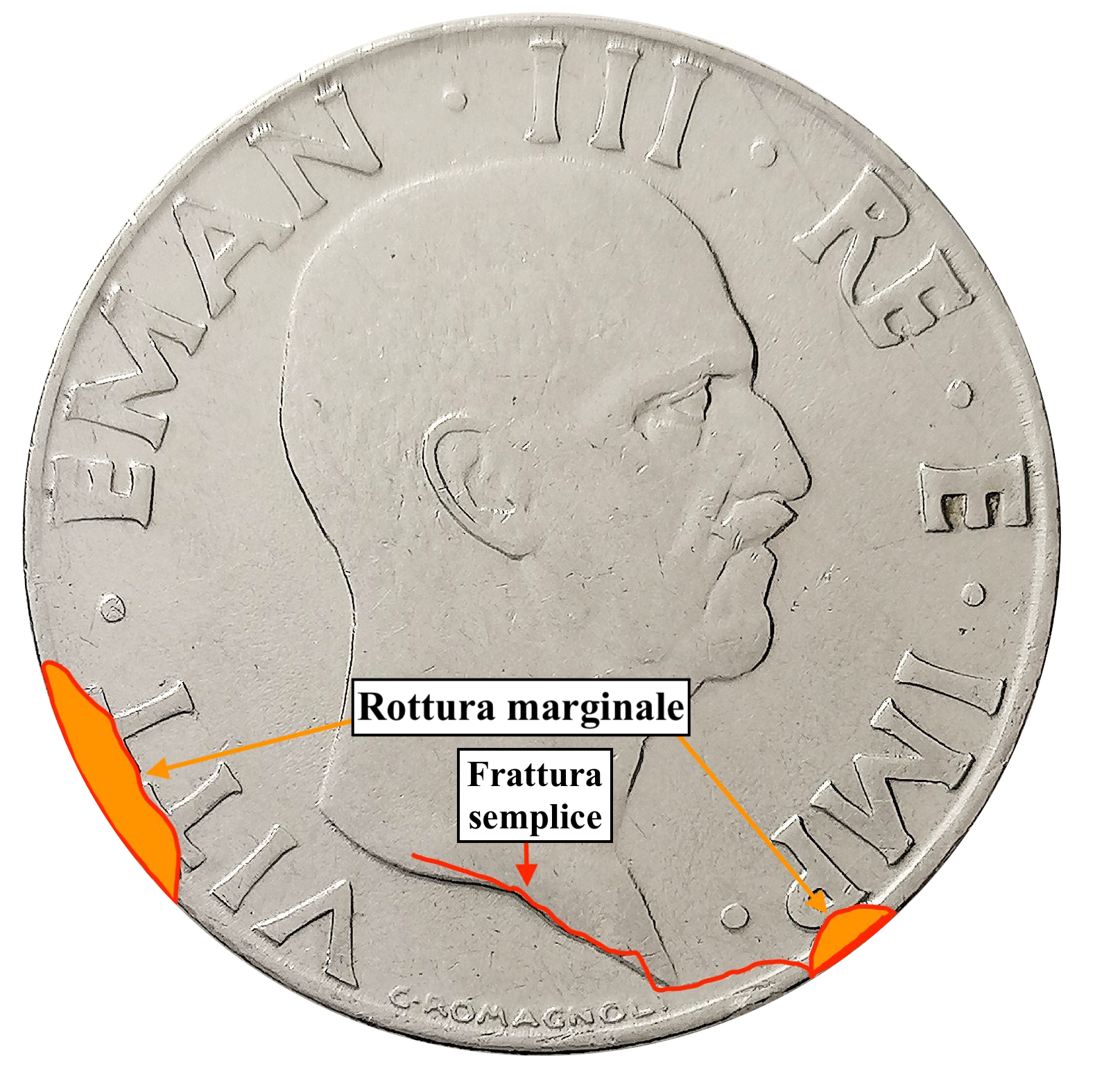 sena coins